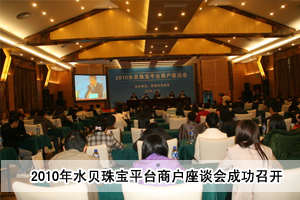 2010ˮؐ錚ƽ_(ti)̑Մ(hu)ɹ_(ki)